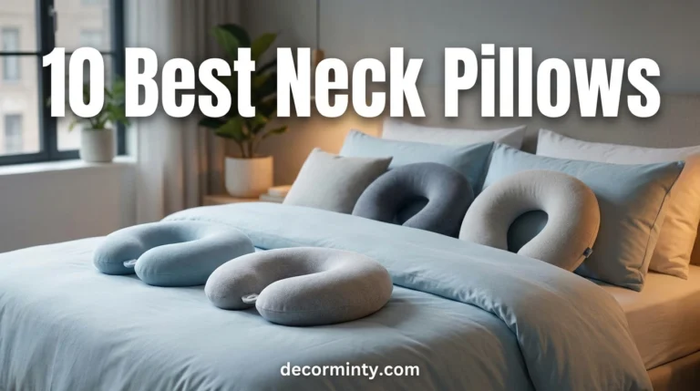 Best Neck Pillows
